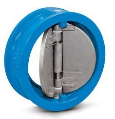 Dual Flap check Valve2